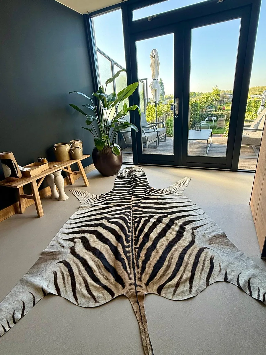 Burchell's zebra skin in a garden room with glass doors