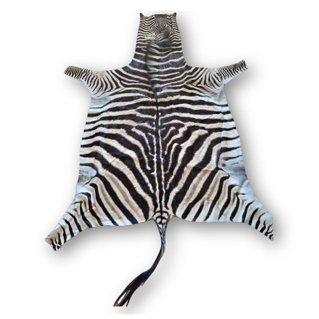 Genuine Burchell’s Zebra Skin Rug
