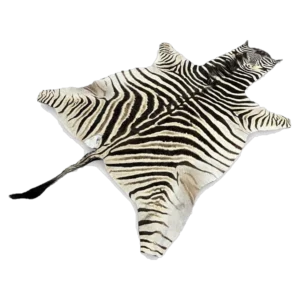 burchells zebra skin rug