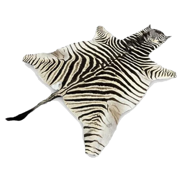 burchells zebra skin rug