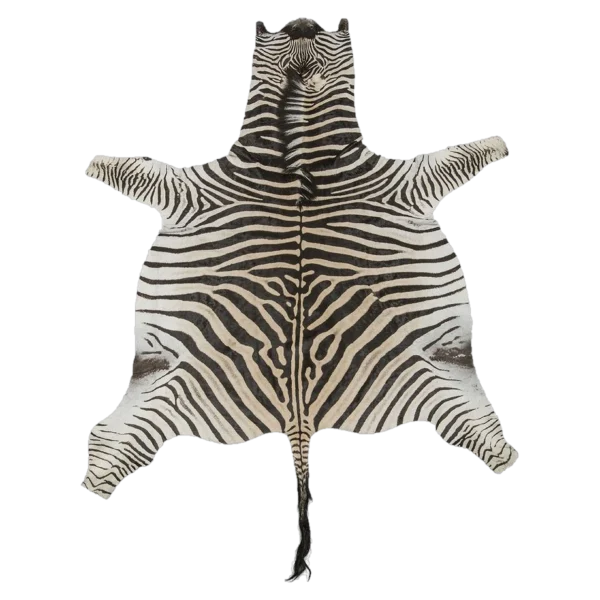 burchells zebra skin rug